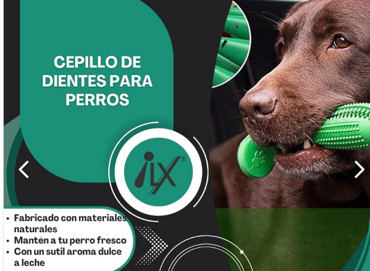 Juguete Cepillo de Dientes para Perros